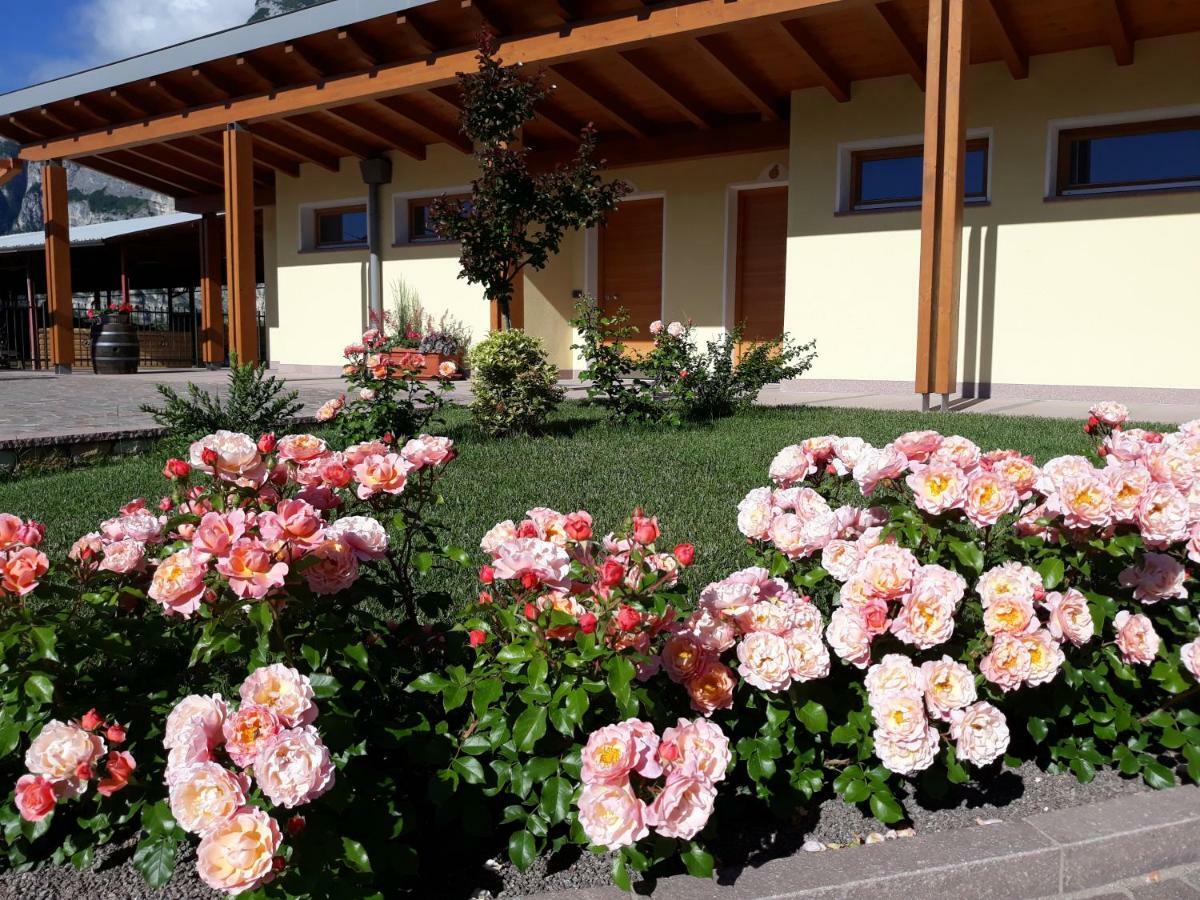 Agriturismo L' Isola Di Arturo Trento Exterior foto